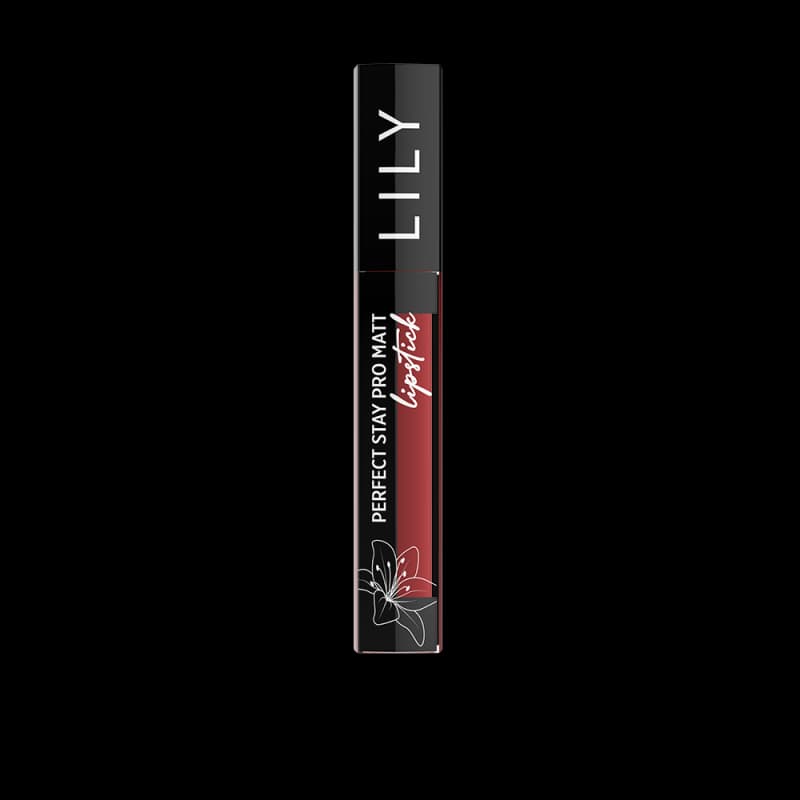 Lily Perfect Stay Pro Matte Liquid Lipstick Rust Nude-42